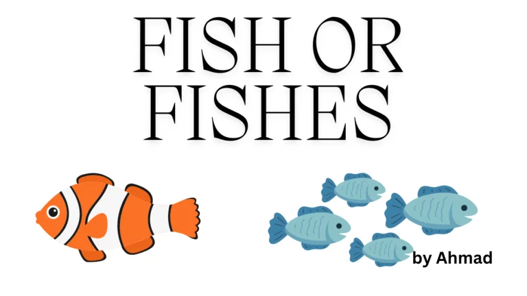 Fish or Fishes: What is the Correct Usage in English Language