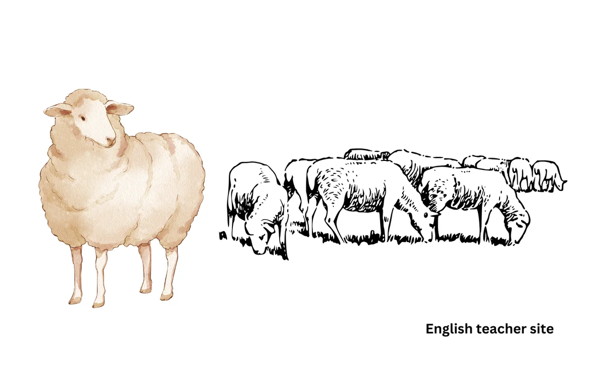 by ahmad 61 Media Singular or Plural: Understanding Usage and Conventions