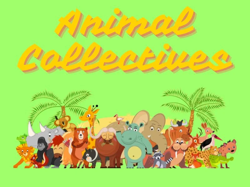 thank you 5 Animal Collectives: A Complete List of Collective Nouns for Animals Explained
