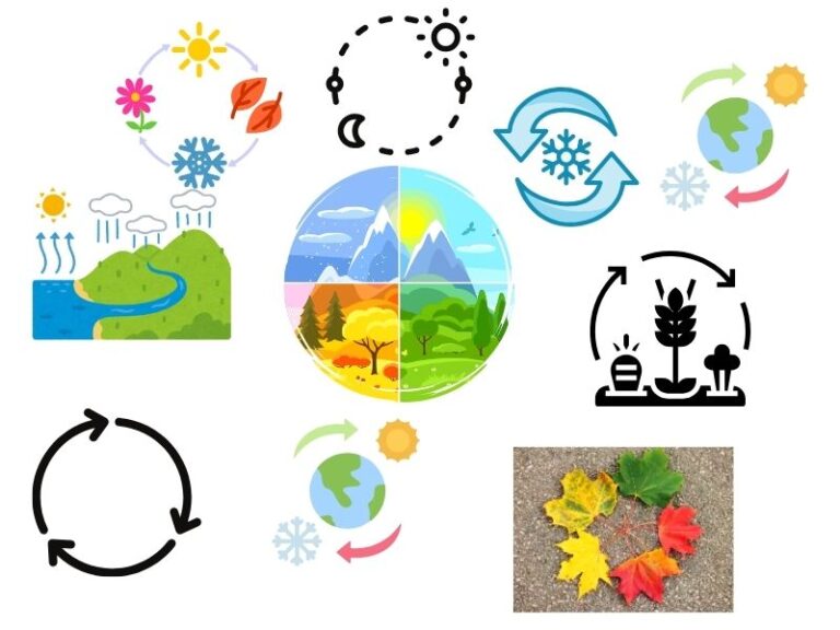 Are Seasons Capitalized? Understanding Proper Grammar Rules