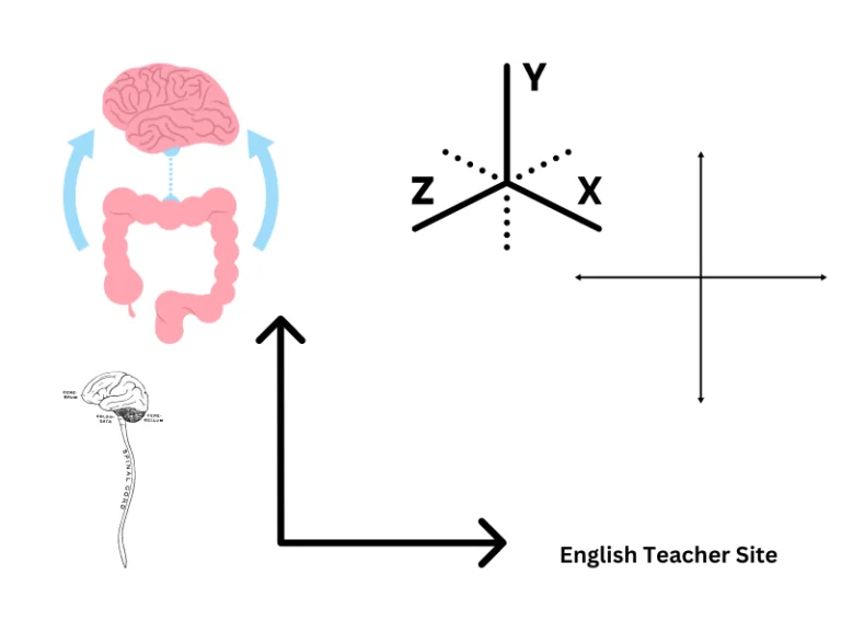 Plural of Axis: Understanding the Correct Form and Usage