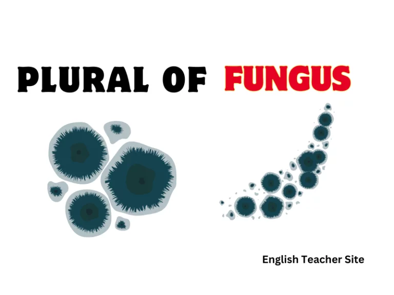 What’s the Plural of Fungus: Understanding the Correct Form