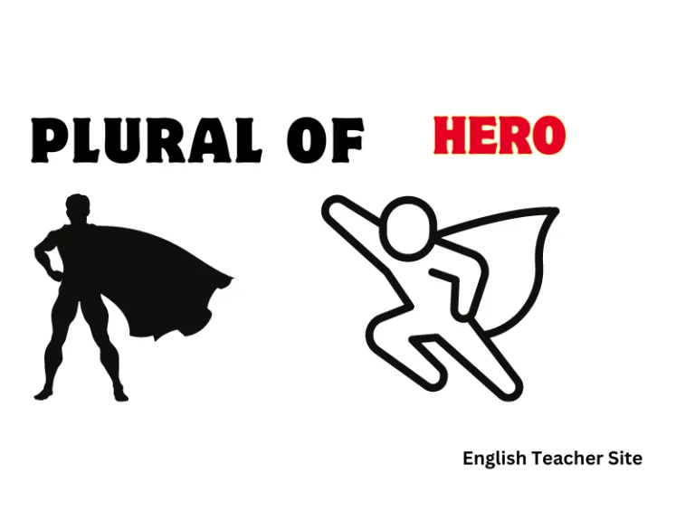 Whats the Plural of Hero: Heros or Heroes? Understanding Correct Usage