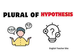 hypothesis plural english