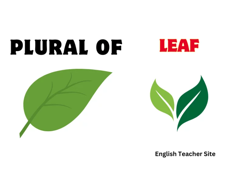 What’s the Plural of Leaf? Understanding Regular and Irregular Plurals