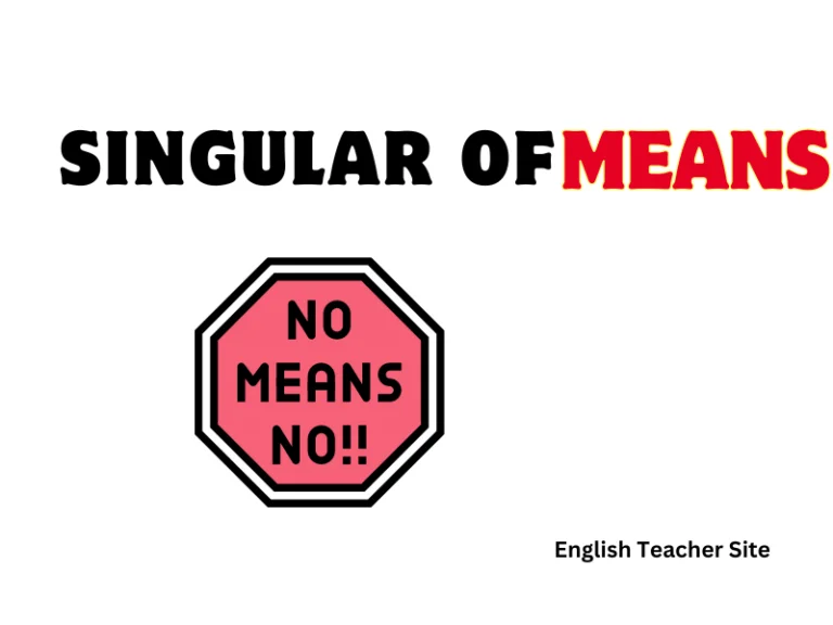 What’s the Singular of Means: Understanding Singular and Plural Nouns