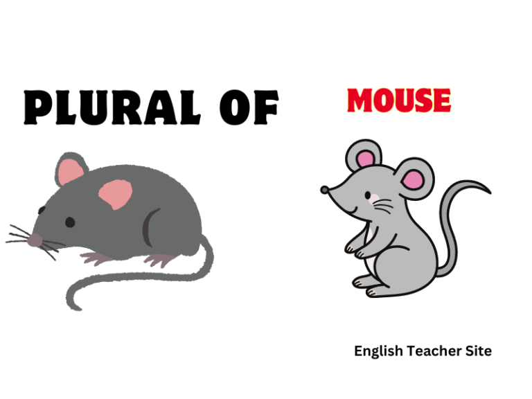Plural of Mouse Explained: Why It’s Not Mouses