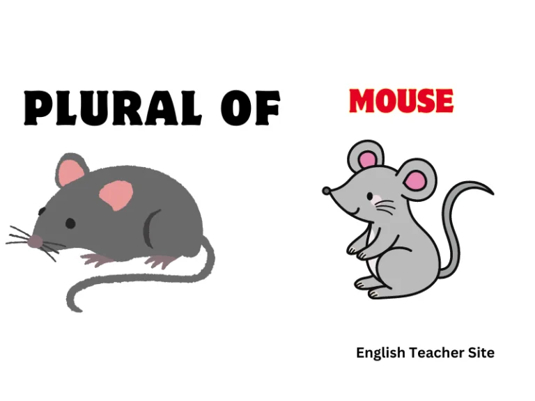 What’s the Plural of Mouse: Understanding Singular and Plural Nouns