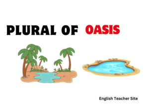 What's the Plural of Oasis: Understanding Singular and Plural Nouns ...