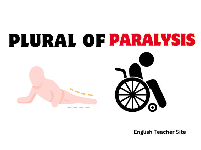 Whats the Plural of Paralysis: Understanding Grammatical Nuances