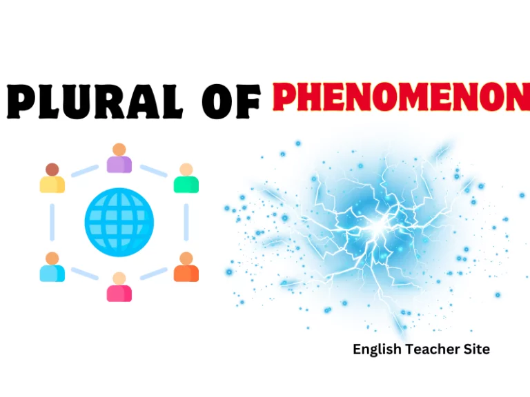 What’s the Plural of Phenomenon: Understanding Linguistic Variations