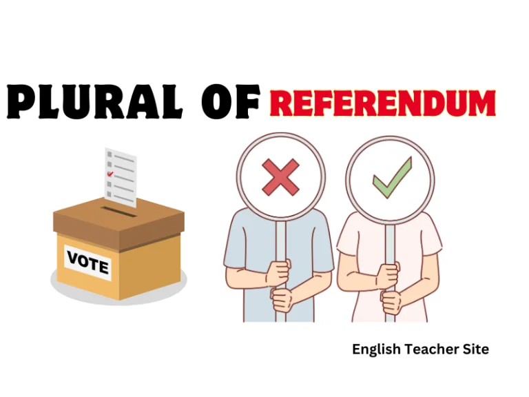 What’s the Plural of Referendum: Understanding Language Nuances