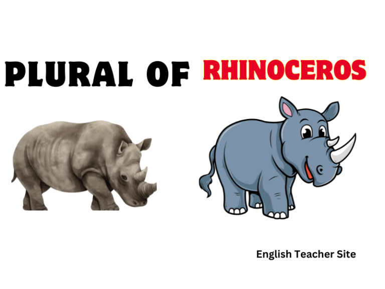 The Surprising Truth About the Plural of Rhinoceros