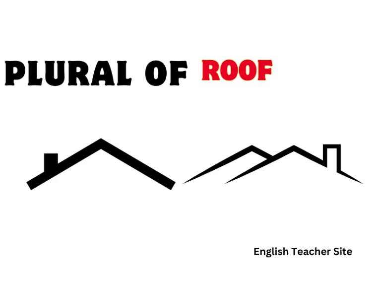 What’s the Plural of Roof: Understanding Singular and Plural Nouns