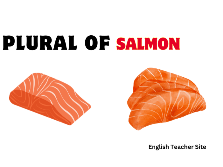 Plural of Salmon Explained: What You Need to Know