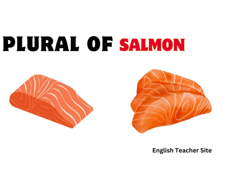 What’s the Plural of Salmon: Understanding English Nouns