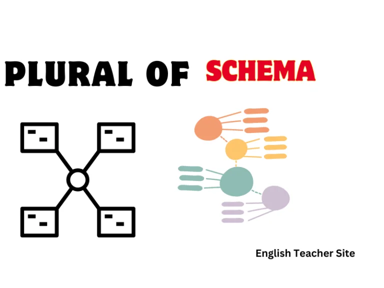 Whats the Plural of Schema: Understanding Lexical Variations