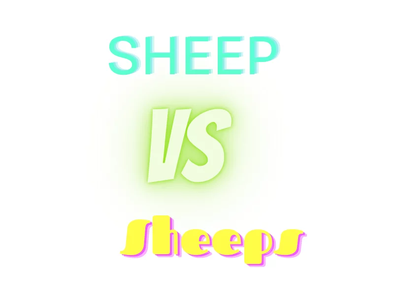 Sheep What's the Plural of Sheep: Sheep or Sheeps?