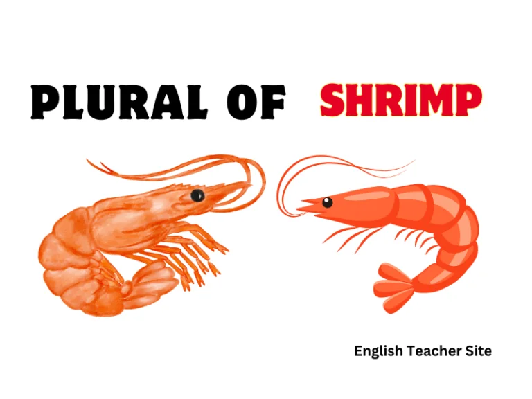 What’s the Plural of Shrimp: Understanding English Nouns