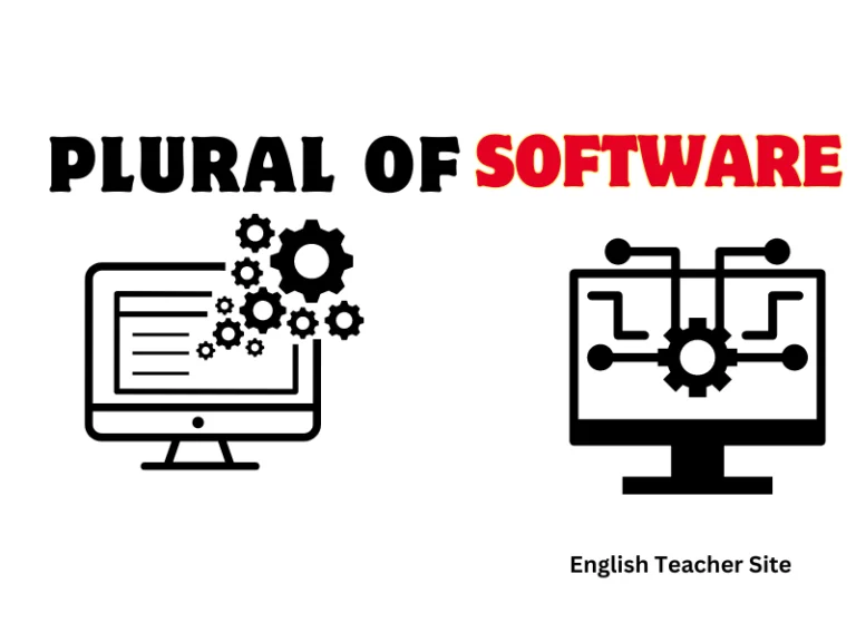 Whats the Plural of Software: Understanding Collective Nouns in Technology