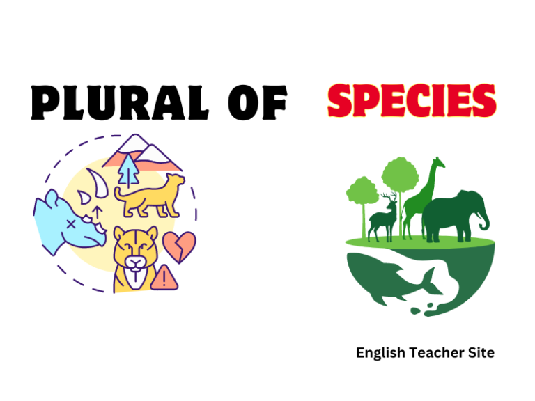 What’s the Plural of Species: Understanding Singular and Plural Forms