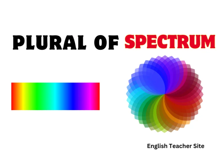 What’s the Plural of Spectrum: Unveiling the Correct Term