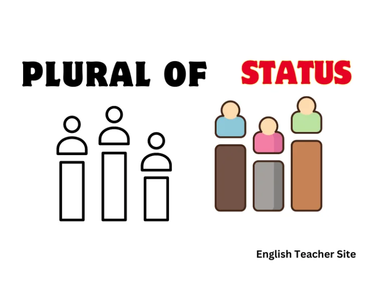 What’s the Plural of Status: Understanding Singular and Plural Forms