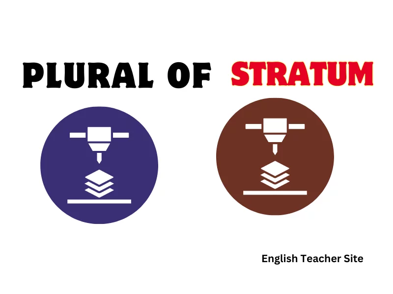 Stratum Whats the Plural of Stratum: Understanding Geological Layers