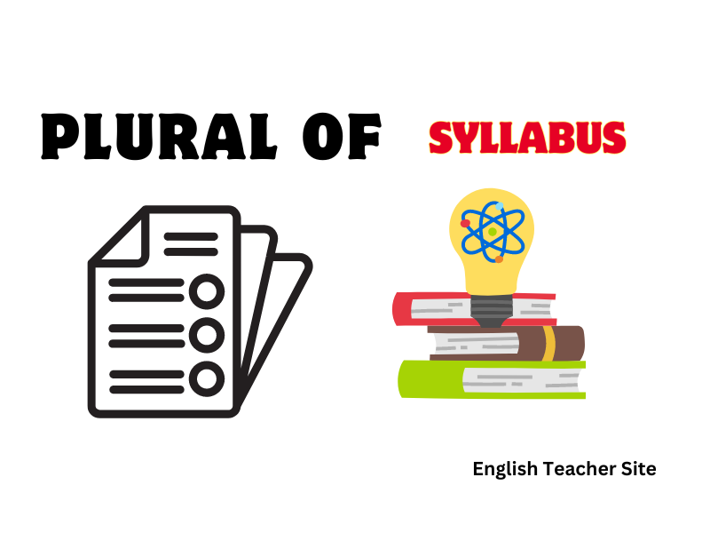 what-s-the-plural-of-syllabus-syllabuses-vs-syllabi-dictionary