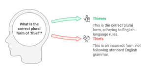 The Plural of Thief: What You Need to Know - English Teacher Site
