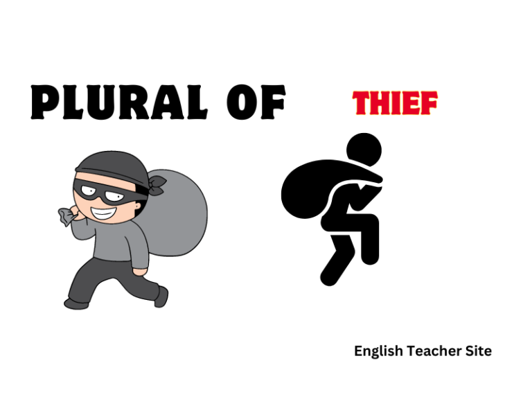 The Plural of Thief: What You Need to Know