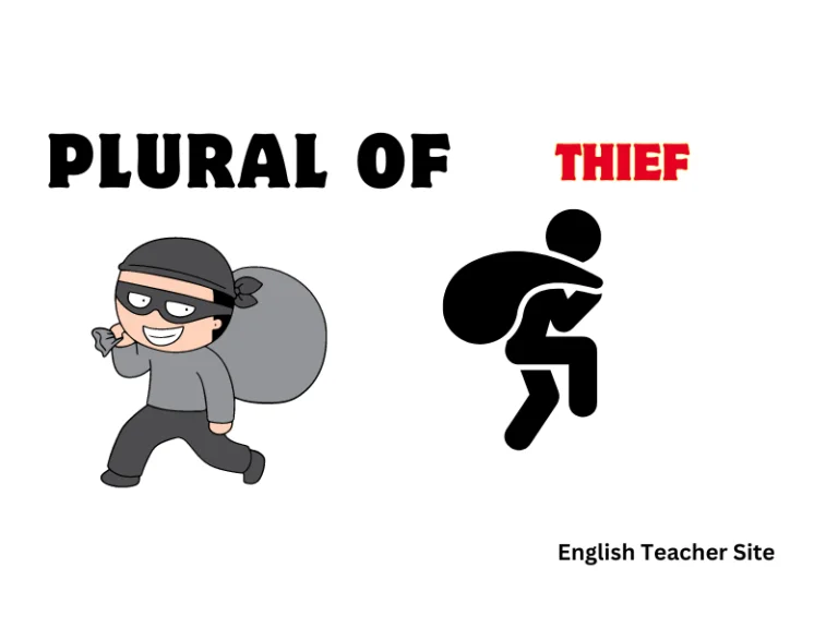 What’s the Plural of Thief: Understanding Singular and Plural Nouns