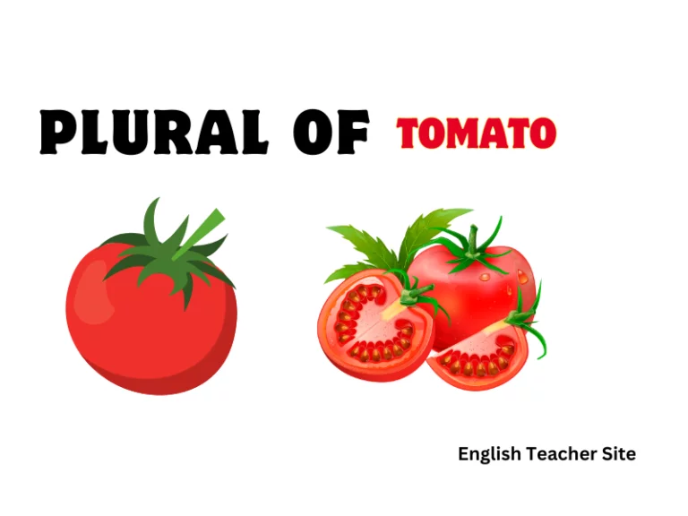 What’s the Plural of Tomato? Unveiling the Correct Usage