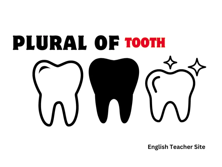 What’s the Plural of Tooth: Understanding Dentistry Terms