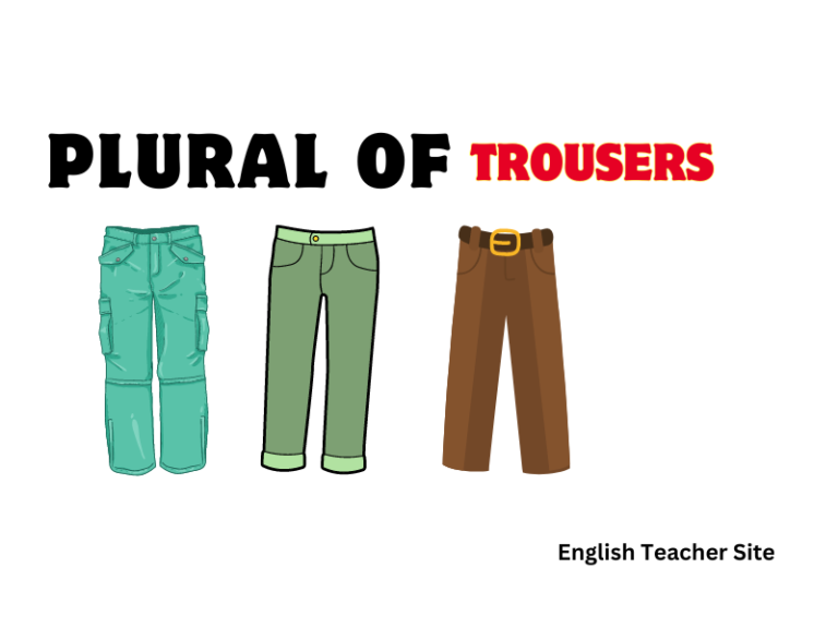 What’s the Plural of Trousers: Understanding English Nouns