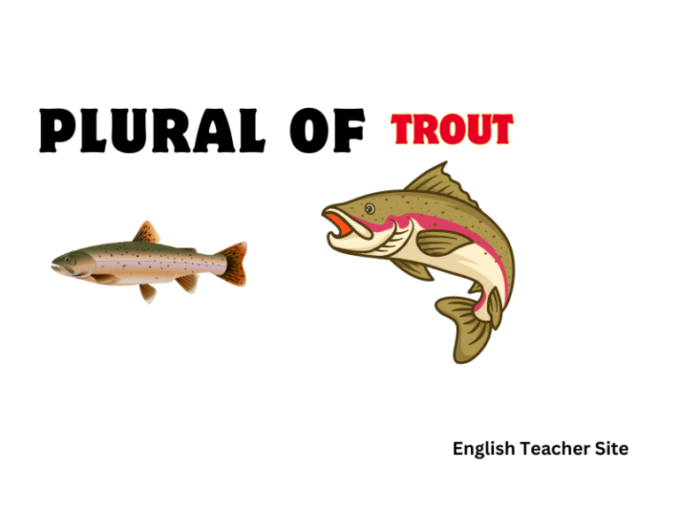 What’s the Plural of Trout: Understanding Regular and Irregular Plurals in English
