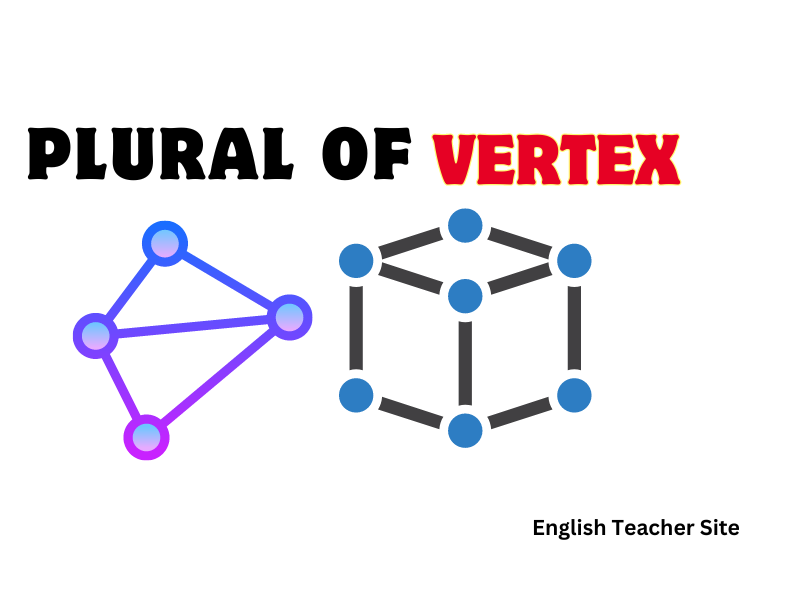 What's The Plural Of Vertex: Understanding Geometric Terms - English 