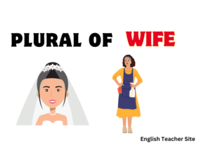 Mastering the Plural of Wife: Is It Wives or Something Else? - English