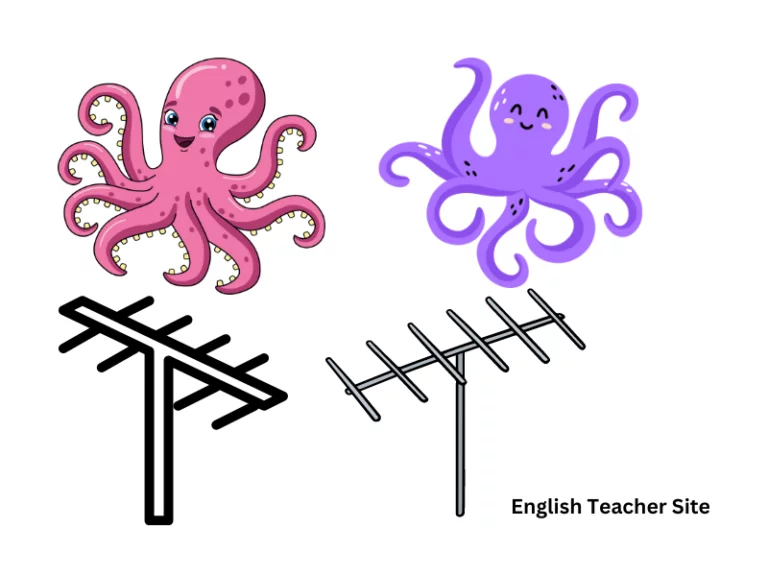 What’s the Plural of Antenna: Understanding Singular and Plural Forms