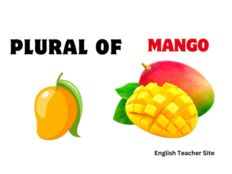 What’s the Plural of Mango: Understanding Regular and Irregular Plurals