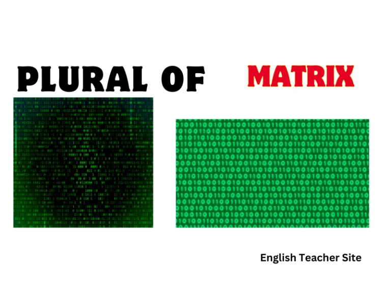 What’s the Plural of Matrix: Understanding Singular and Plural Forms