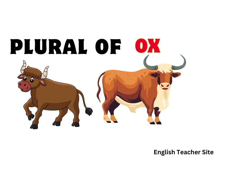 <title>Oxen or Oxes? 5 Easy Tips to Never Get It Wrong (With Examples)</title> <meta name="description" content="Wondering if it's 'oxen' or 'oxes'? Discover 5 simple tips to always get it right! Learn why 'oxen' is correct, explore irregular plurals, and practice with easy examples."></meta> Oxen or Oxes? 5 Easy Tips to Never Get It Wrong