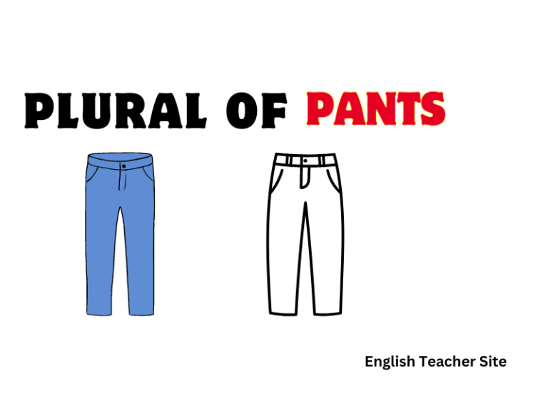 What’s the Plural of Pants: Understanding Singular and Plural Fashion Terms