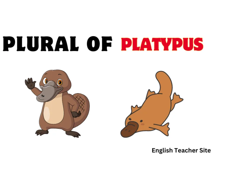 What’s the Plural of Platypus: Understanding English Nomenclature