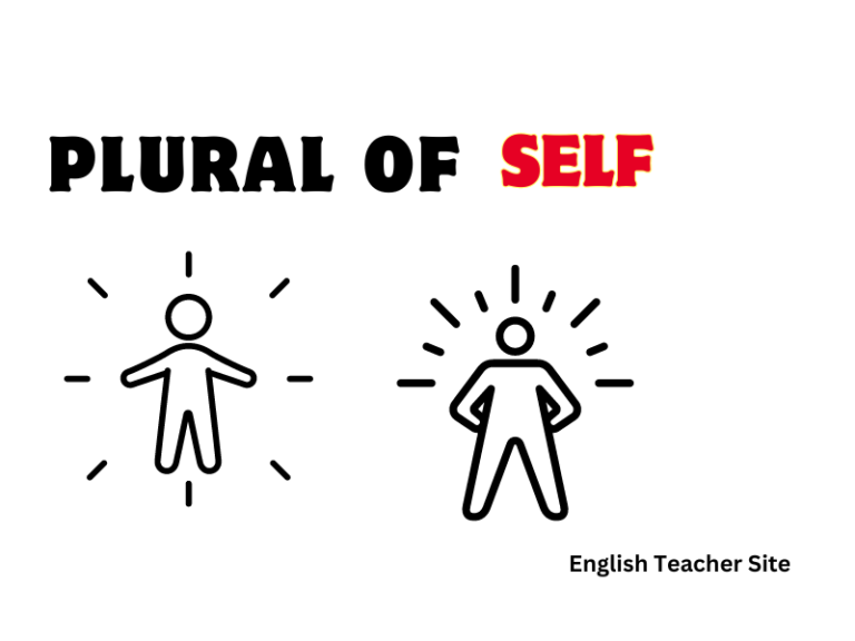 What’s the Plural of Self: Understanding Singular and Plural Nouns