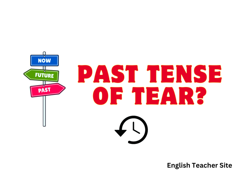 present tense of tore in english