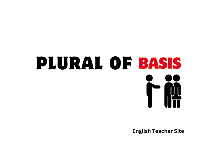 Whats the Plural of Basis: Understanding Grammatical Number