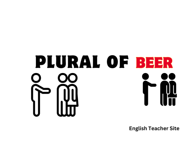 What’s the Plural of Beer: Understanding Beverage Terminology