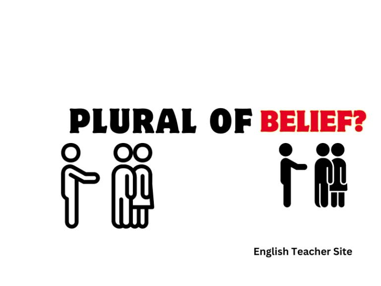 What’s the Plural of Belief? Understanding Singular and Plural Nouns