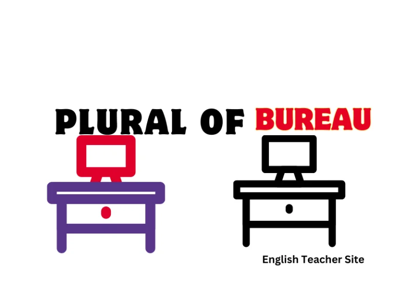 What’s the Plural of Bureau? Understanding Correct Usage in English Grammar